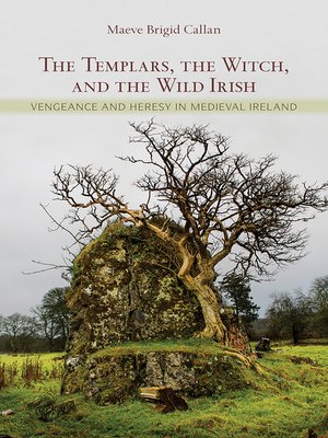 cover image of The Templars, the Witch, and the Wild Irish